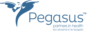 Pegasus logo