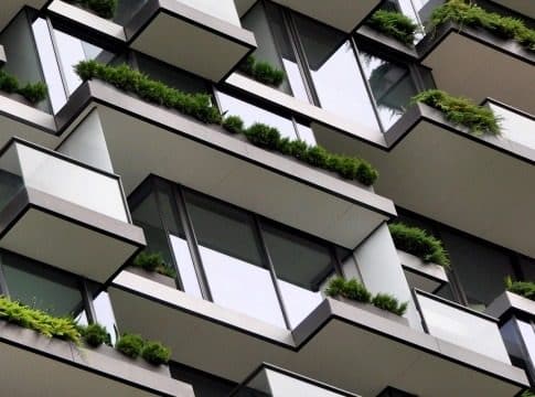 House plants on a building
