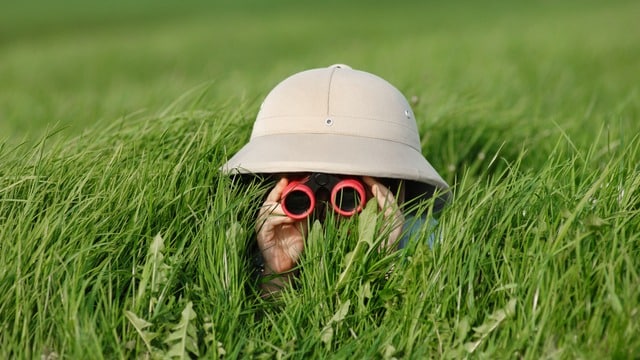 Binoculars